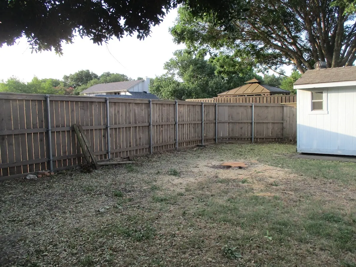 Cleared yard after professional tree removal in Glenwood
